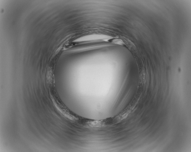 X0000086100092200704202252