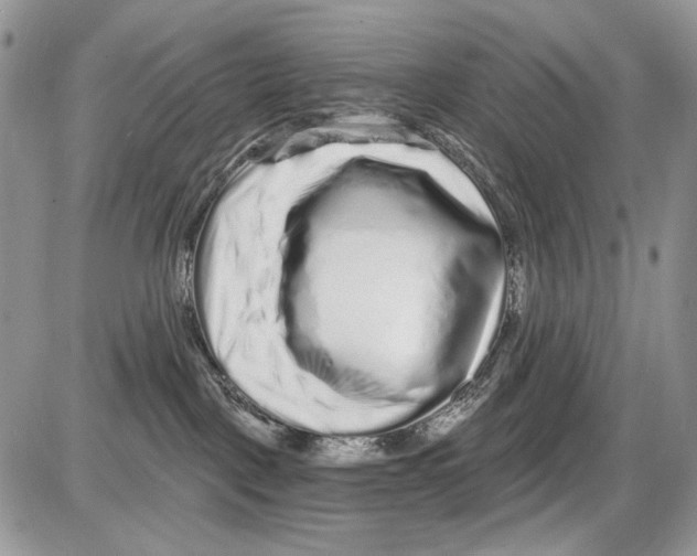 X0000086100093200704202252
