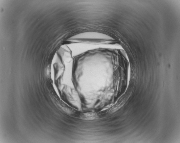 X0000086100095200704202252