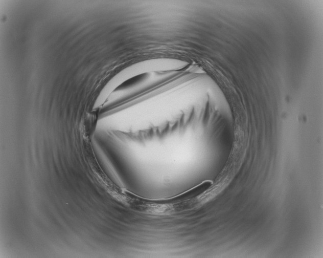 X0000086100096200704202252