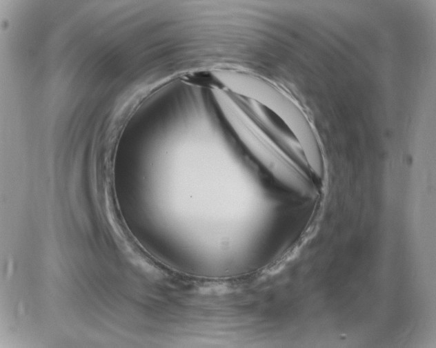 X0000086100097200704202251