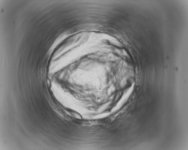 X0000086100099200704202251
