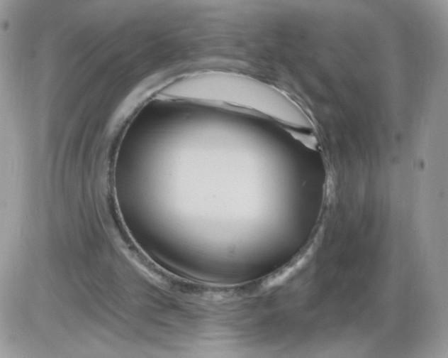 X0000086100101200704202251