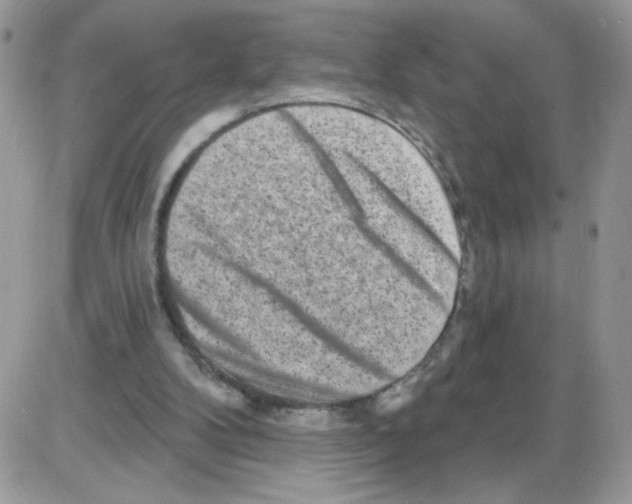 X0000086100104200704202251