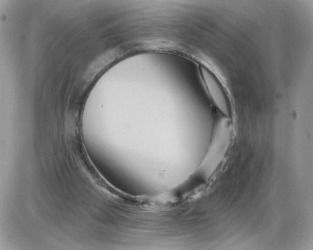X0000086100105200704202251