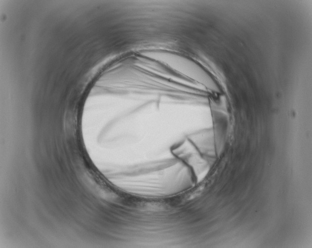 X0000086100107200704202251