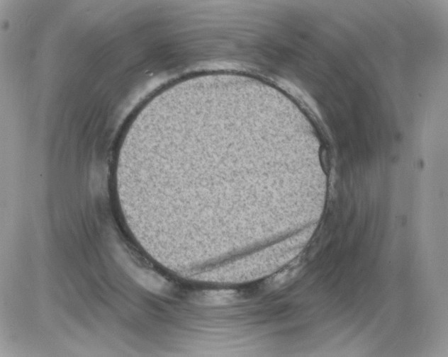 X0000086100108200704202251