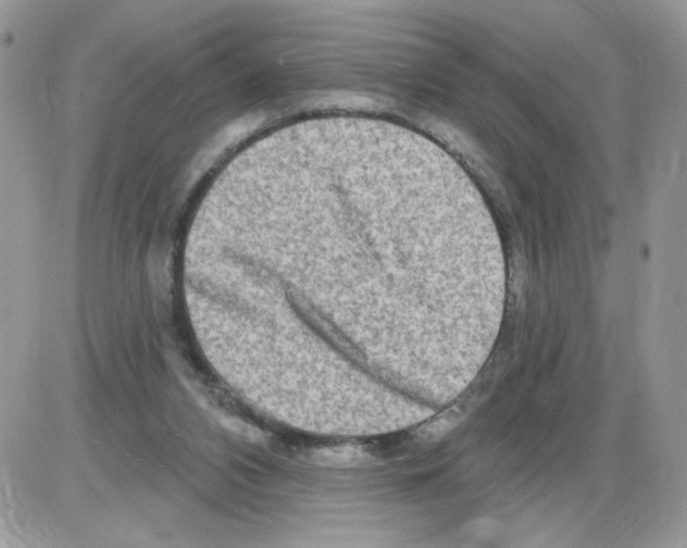 X0000086100112200704202251