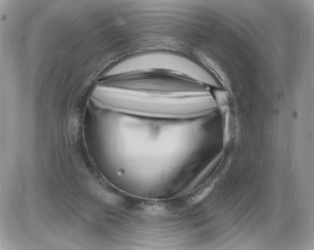 X0000086100113200704202251