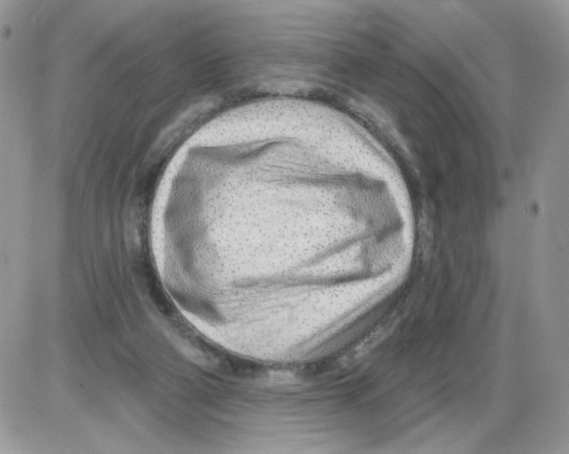 X0000086100114200704202251