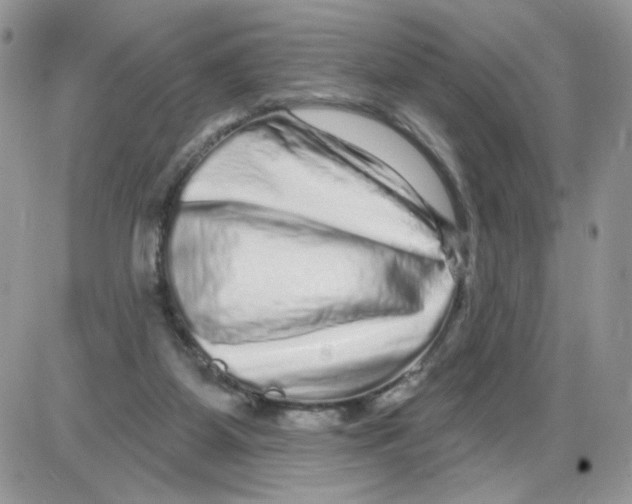 X0000086100115200704202251