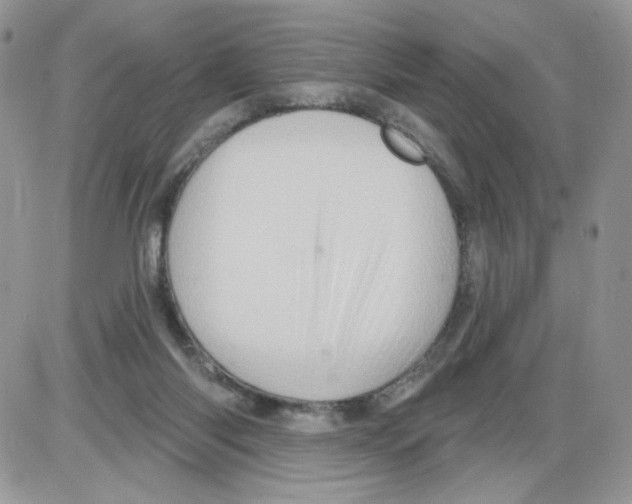 X0000086100118200704202251