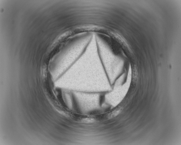 X0000086100119200704202250