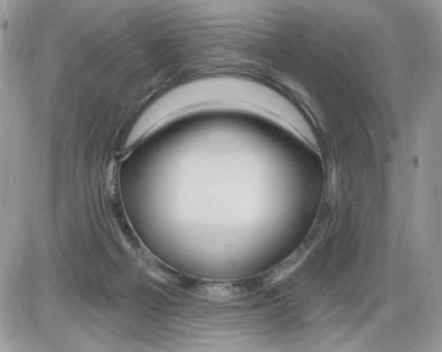 X0000086100121200704202250
