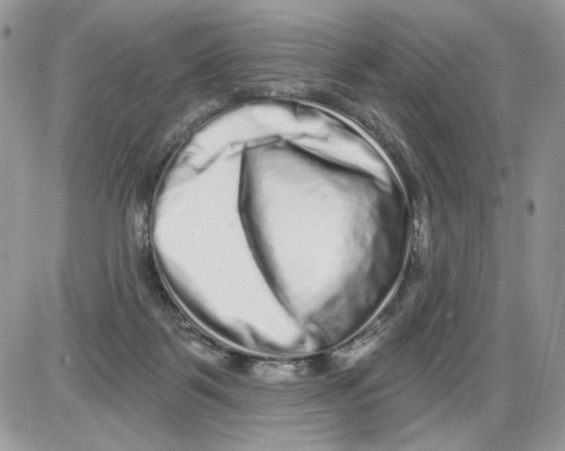 X0000086100123200704202250