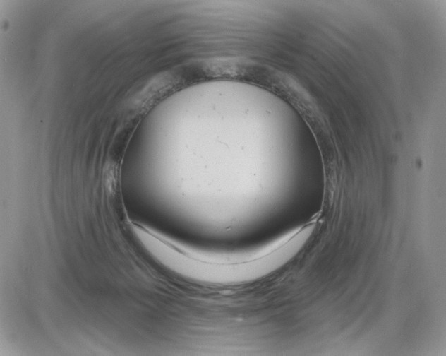 X0000086100125200704202250