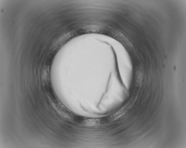 X0000086100126200704202250