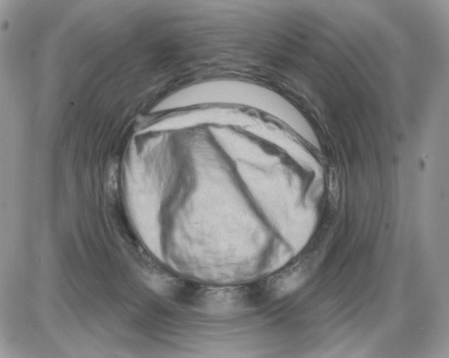 X0000086100127200704202250