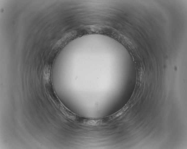 X0000086100129200704202250