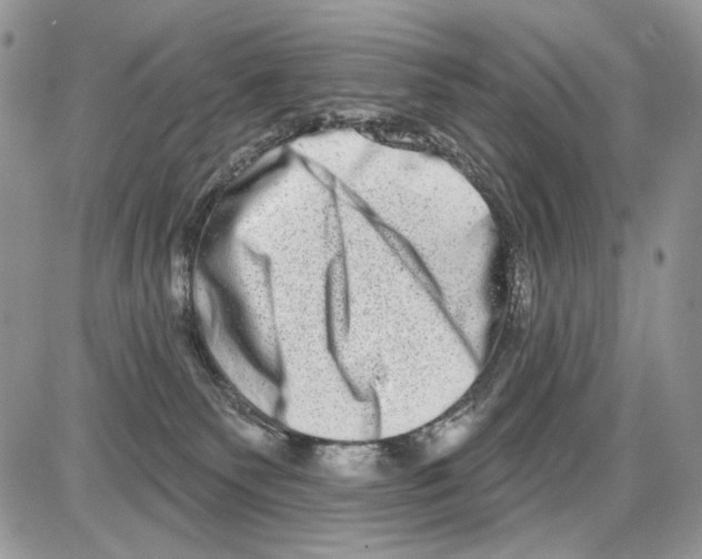 X0000086100135200704202250