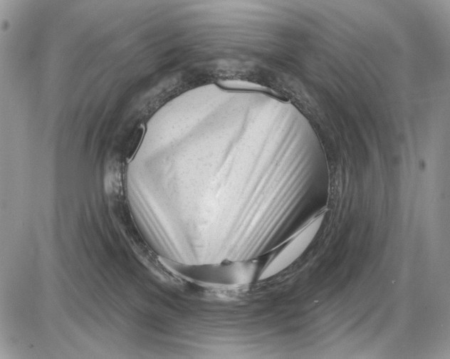 X0000086100137200704202250