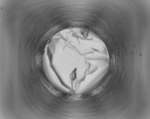 X0000086100138200704202250