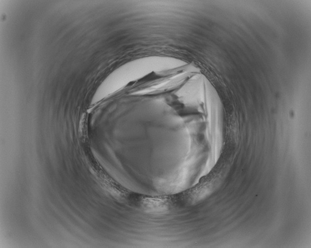 X0000086100139200704202250