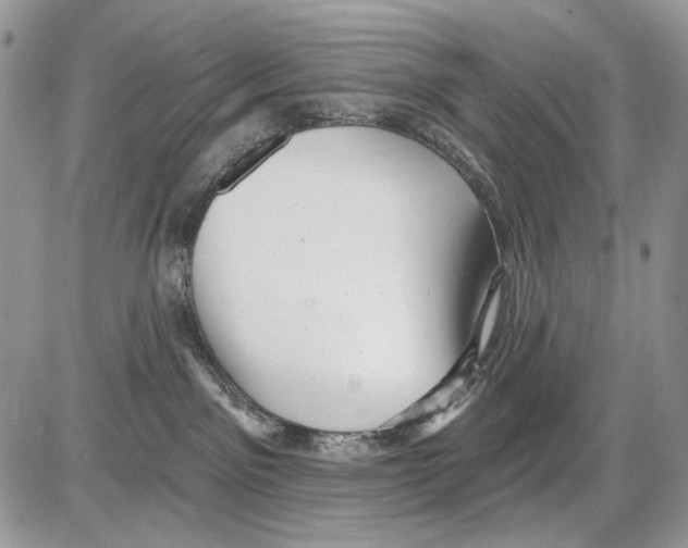 X0000086100141200704202250