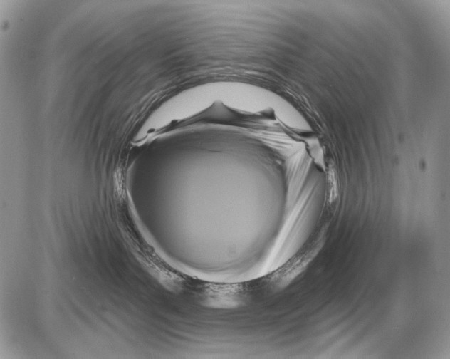 X0000086100143200704202250