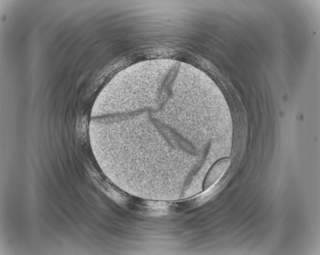X0000086100144200704202250