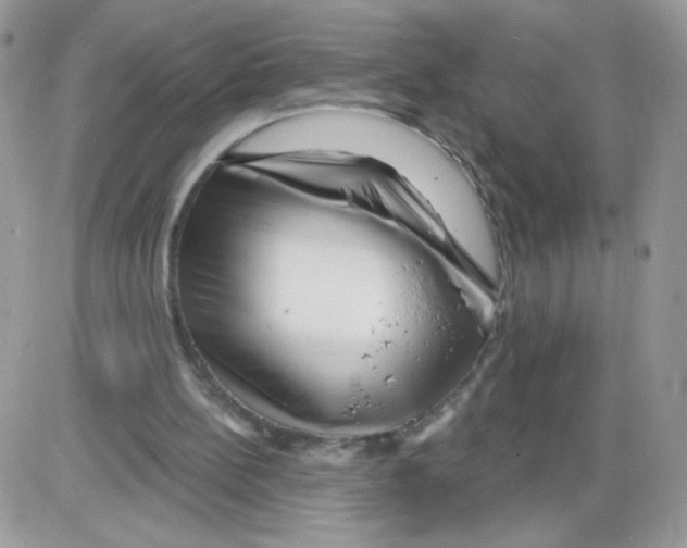 X0000086100148200704202249