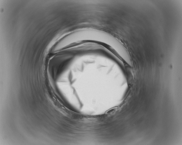 X0000086100150200704202249