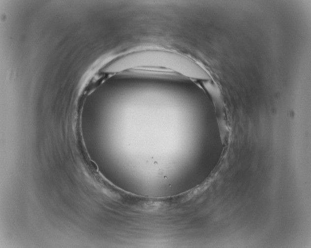 X0000086100152200704202249