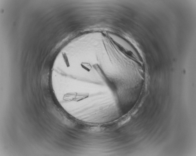X0000086100153200704202249