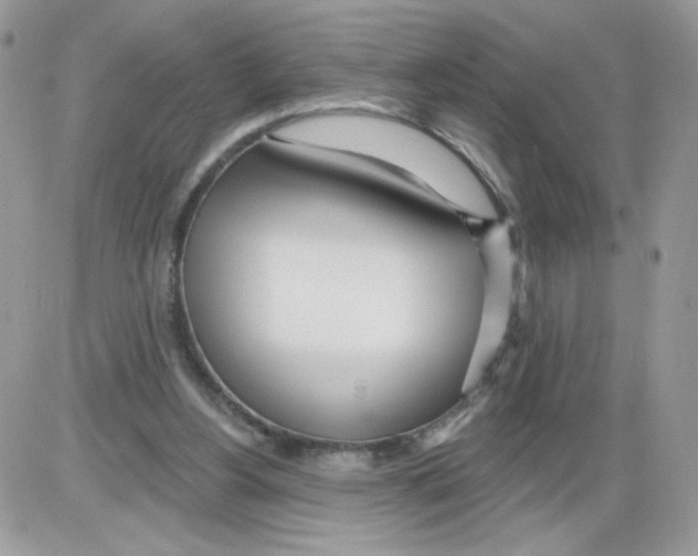 X0000086100156200704202249