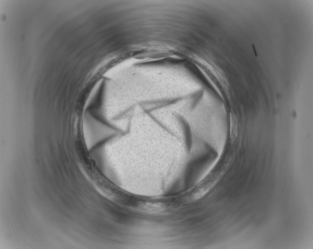 X0000086100157200704202250