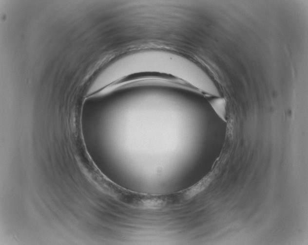 X0000086100158200704202250