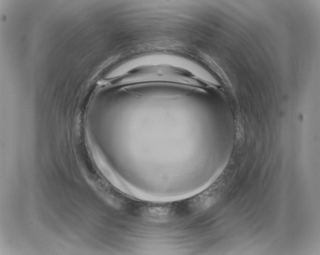 X0000086100163200704202250