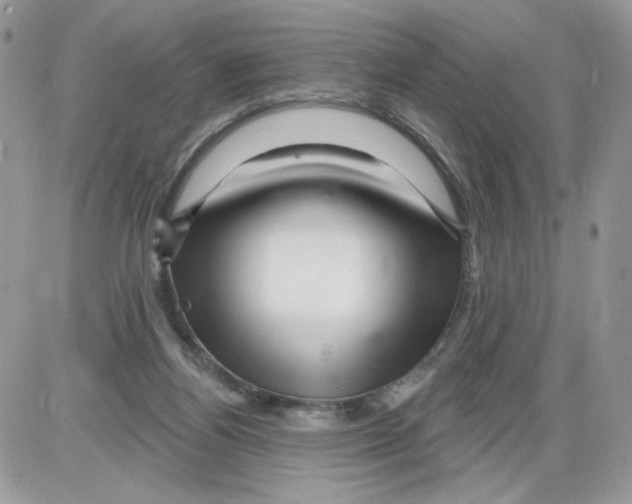 X0000086100164200704202250