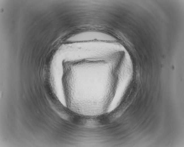 X0000086100165200704202250