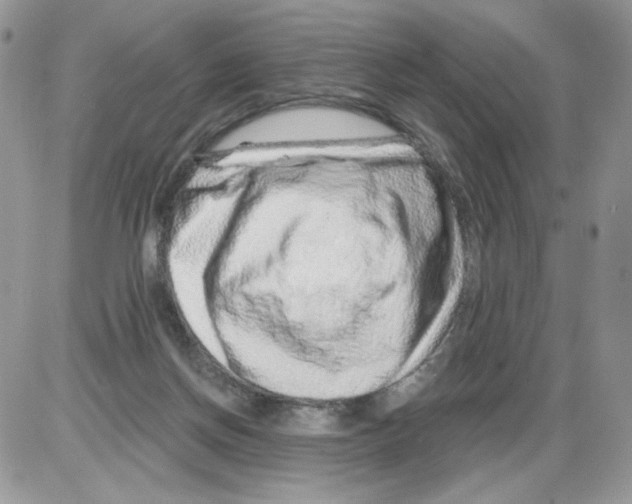 X0000086100166200704202250