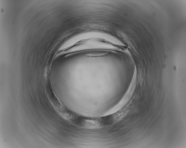 X0000086100167200704202250
