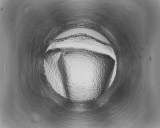 X0000086100169200704202250
