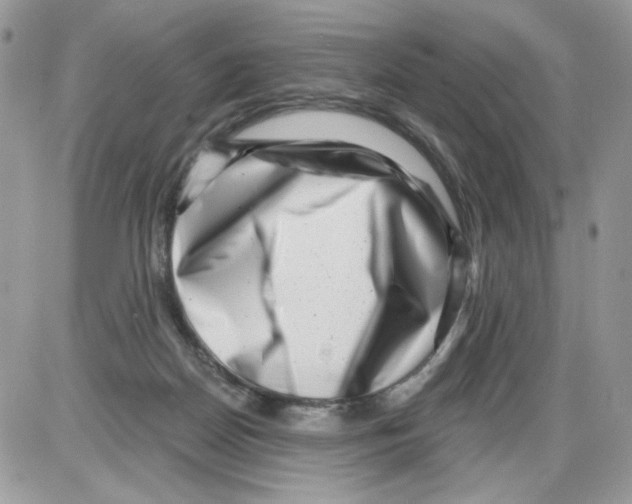 X0000086100170200704202250