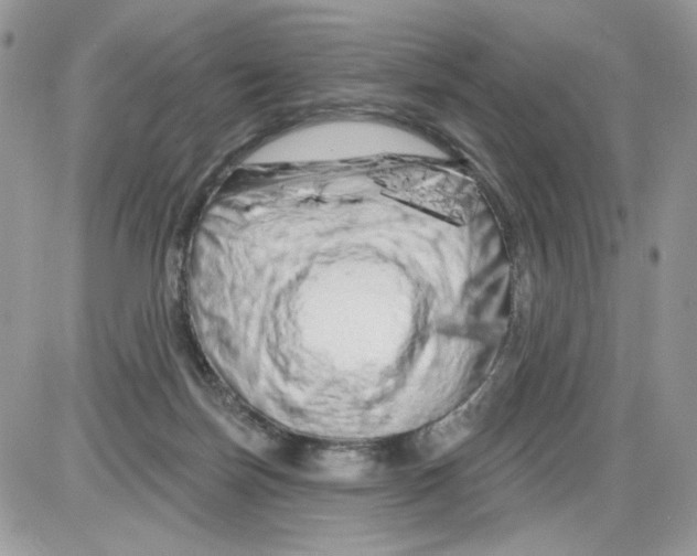 X0000086100171200704202250