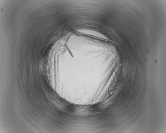 X0000086100175200704202250