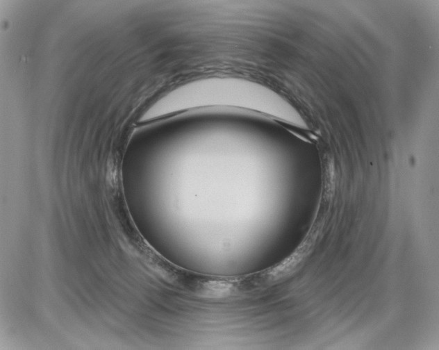X0000086100176200704202250
