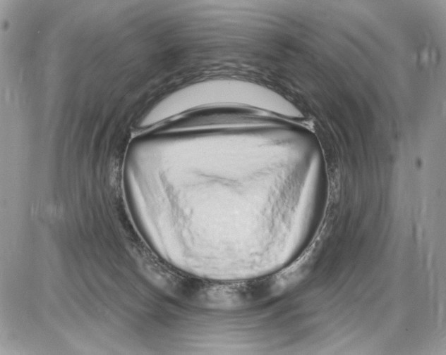 X0000086100178200704202250