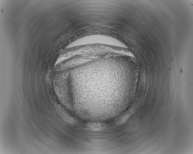 X0000086100181200704202250
