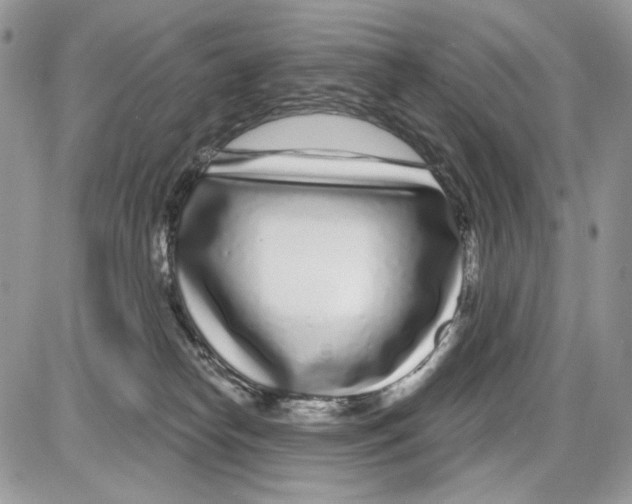 X0000086100182200704202250